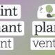 5 Letter Words Ending in N