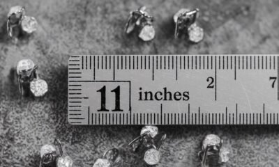 how long is 11 inches