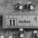 how long is 11 inches