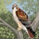 Charley Harper Artist